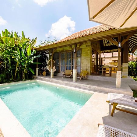 Nyaman Villas By Evdekimi Ubud Екстер'єр фото