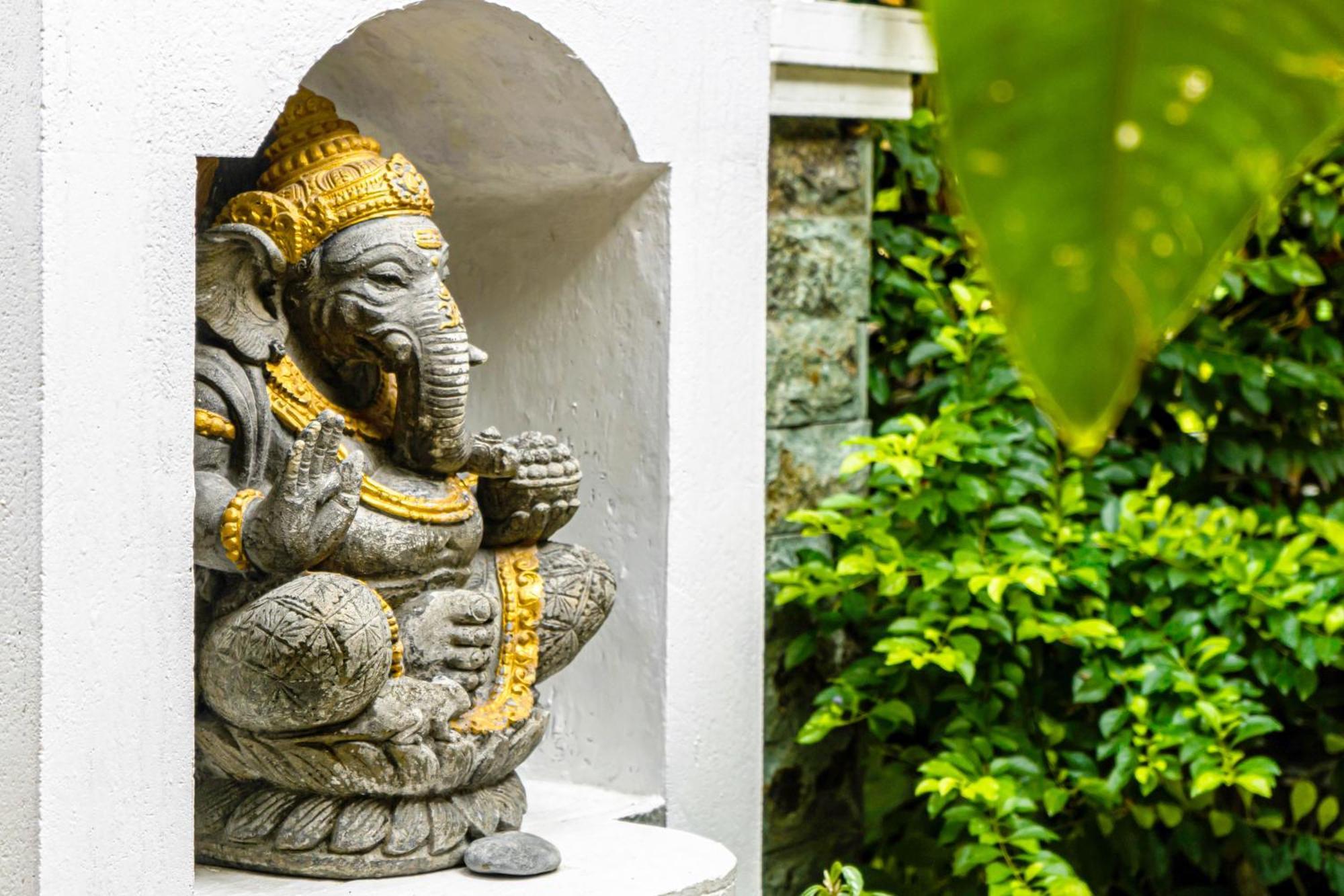 Nyaman Villas By Evdekimi Ubud Номер фото