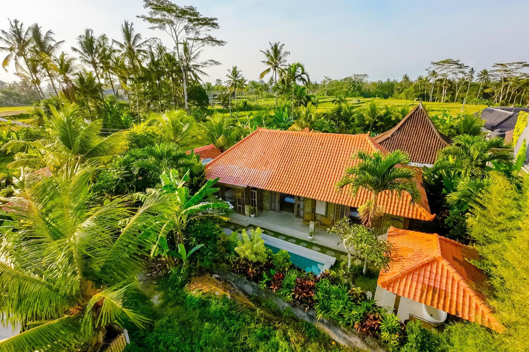 Nyaman Villas By Evdekimi Ubud Екстер'єр фото
